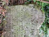 image of grave number 688908